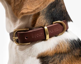 Scout Versorgung Co | Handgefertigtes Hundehalsband | Vollnarbenlederhalsband | Massive Messing-Hardwares | Verstellbares Hundehalsband | Premium Leder Hundehalsband