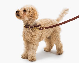 Handmade Full Grain Leather Dog Leash: Heavy Duty with Solid Brass