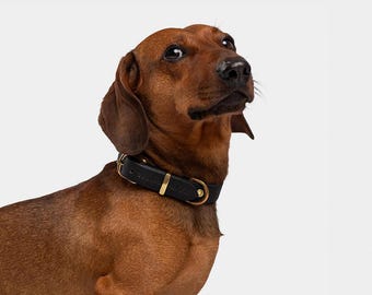 Full Grain Leather Dog Collar | Handmade | Solid Brass Hardware | Adjustable Fit