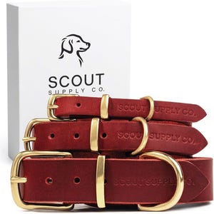 Puede incluir: Tres collares de perro de cuero rojo con herrajes dorados. Los collares están apilados uno encima del otro. Los collares tienen el texto "SCOUT SUPPLY CO." grabado en relieve.