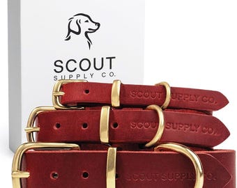 Scout Versorgung Co | Handgefertigtes Hundehalsband | Vollnarbenlederhalsband | Massive Messing-Hardwares | Verstellbares Hundehalsband | Premium Leder Hundehalsband