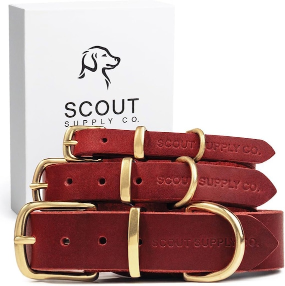 Full Grain Leather Dog Collar | Handmade | Solid Brass Hardware | Adjustable Fit