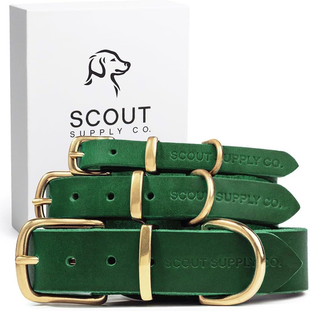 Scout Versorgung Co | Handgefertigtes Hundehalsband | Vollnarbenlederhalsband | Massive Messing-Hardwares | Verstellbares Hundehalsband | Premium Leder Hundehalsband
