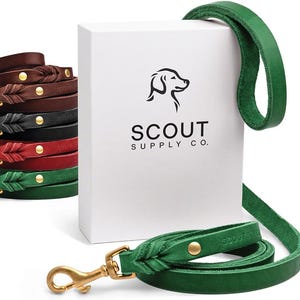 Könnte beinhalten: Eine Auswahl an Leder-Hundehalsbändern in verschiedenen Farben, darunter Braun, Schwarz, Rot und Grün, mit goldfarbener Hardware. Eine grüne Leder-Hundeleine mit einem goldfarbenen Karabinerhaken ist ebenfalls zu sehen. Die weiße Box zeigt eine Hunde-Silhouette und den Text "SCOUT SUPPLY CO."