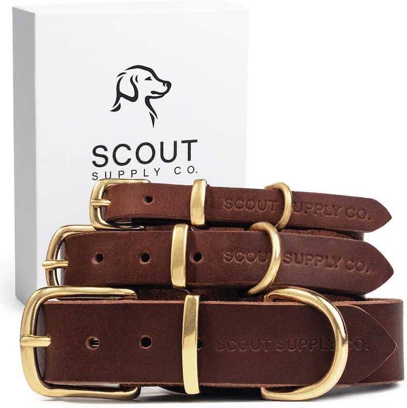 May include: Three brown leather dog collars with gold metal buckles. The collars are stacked on top of each other. The collars have the text "SCOUT SUPPLY CO." embossed on them.