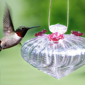 May include: A clear glass hummingbird feeder with a swirling pattern and red flower accents. A hummingbird is flying towards the feeder.