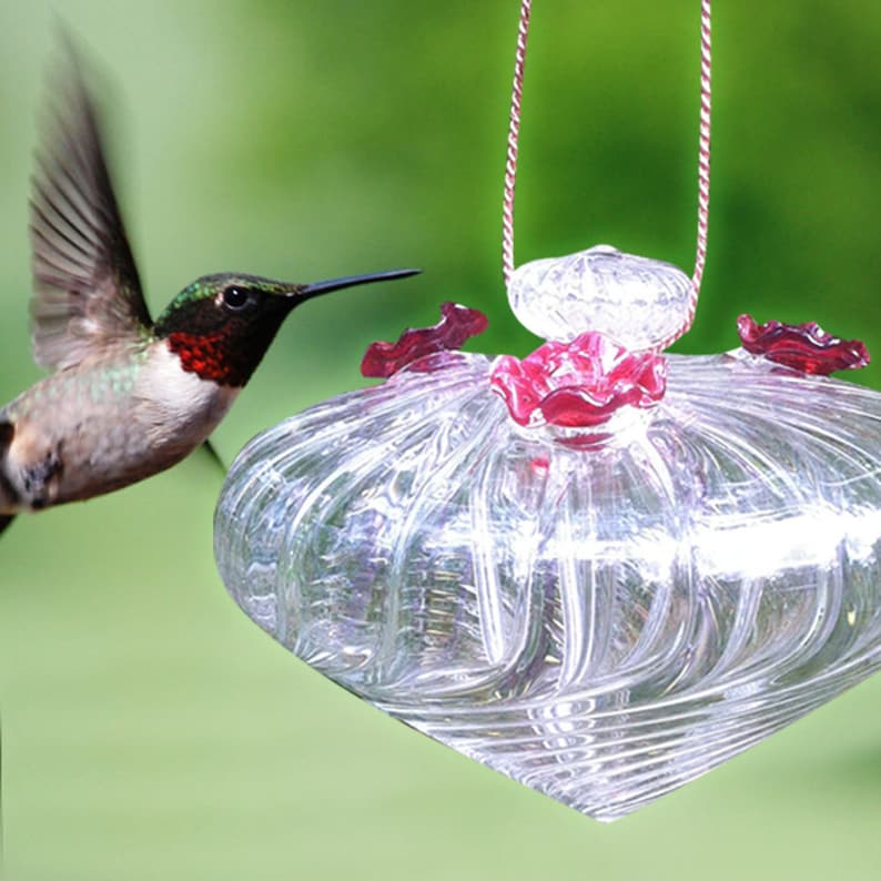 May include: A clear glass hummingbird feeder with a swirling pattern and red flower accents. A hummingbird is flying towards the feeder.