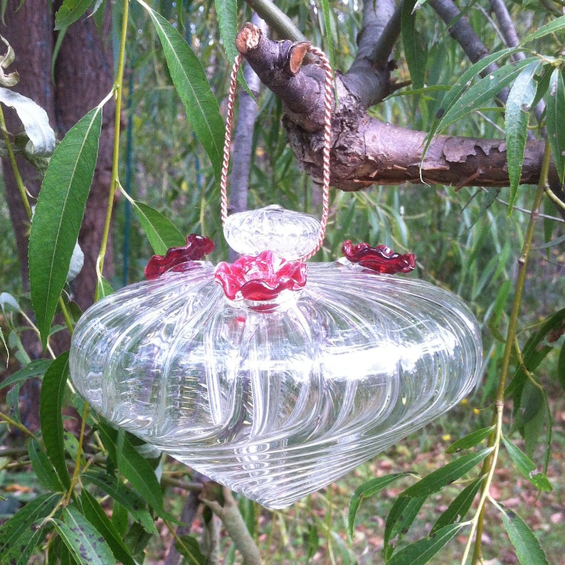 May include: A clear glass hummingbird feeder with a swirling pattern and red glass accents hangs from a branch.
