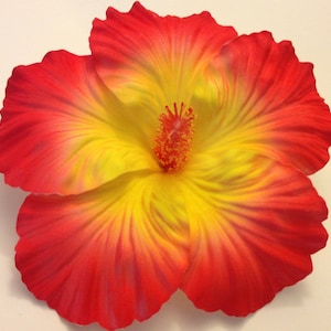 Hibiscus, Wedding, Orange Hibsicus, Flower, Flower, Orange, Yellow, pin up, Burlesque, Tropical flower, Wedding, READY TO SHIP image 1