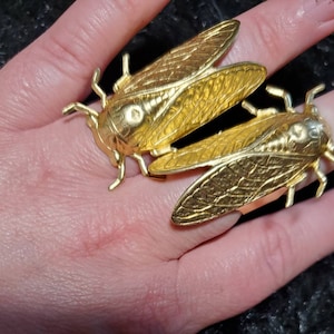 May include: Two gold cicada rings. The rings are detailed with textured wings and legs.