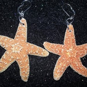 Starfish Earrings,Real Starfish, Starfish , Mermaid, Mermaid Earrings Mermaid , Nautical,ocean image 1