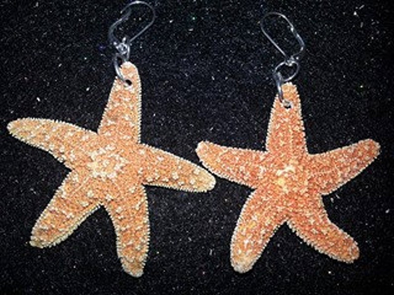 Starfish Earrings,Real Starfish, Starfish , Mermaid, Mermaid Earrings Mermaid , Nautical,ocean image 1