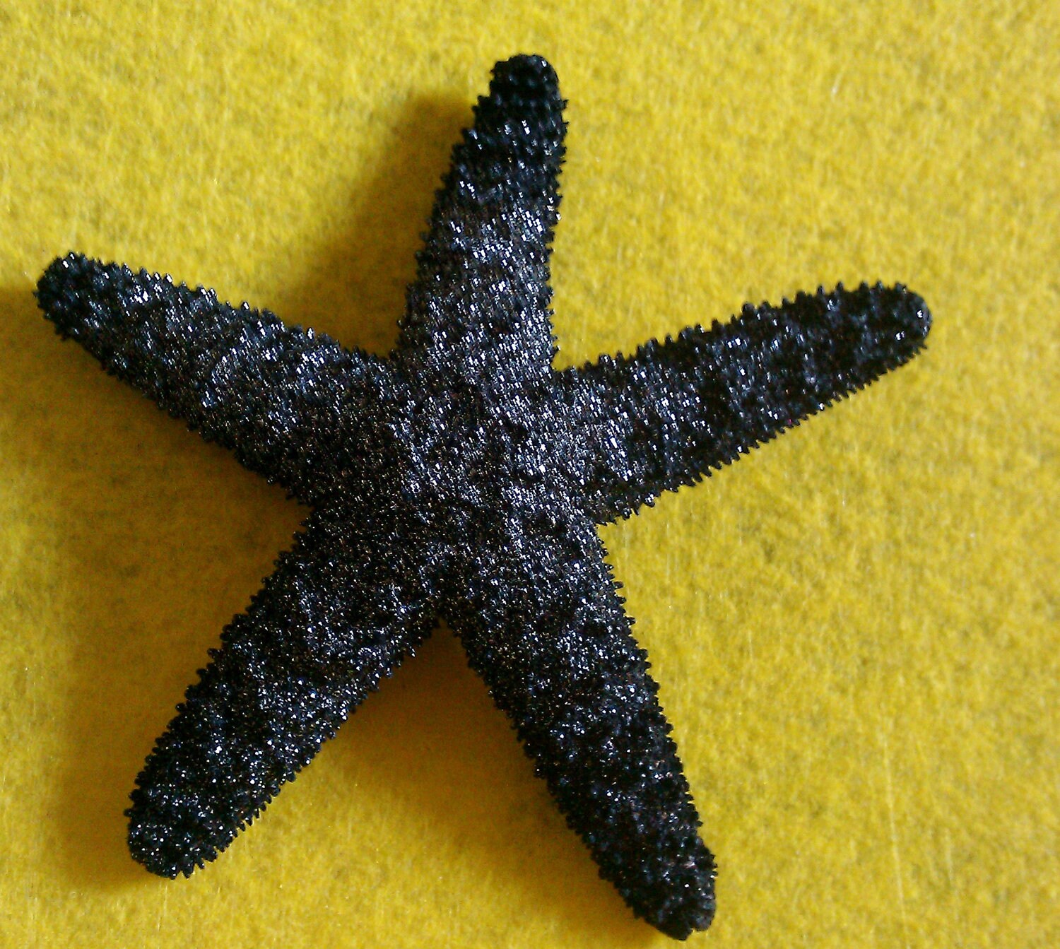 New Arrival Nike Dunk Low Premium Starfish Sail Starfish-Black DD0357-100 CW0784-006 Â« The New 