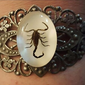 Pode incluir: Uma pulseira de prata com um design ornamentado apresenta uma cúpula transparente que contém um escorpião preservado.