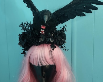 Crow, crow headband. Bird in flight, bird hat