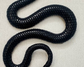 Decorazione a forma di serpente, serpente, serpente da muro, decorazione da parete, decorazione gotica, stranezze, ragazza gotica, ragazza inquietante