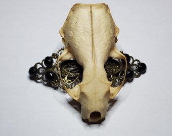 Skull, Skull clip, Taxidermy, Taxidermy hair clip, Horror, Halloween, Ready to ship, Oddities, gothic