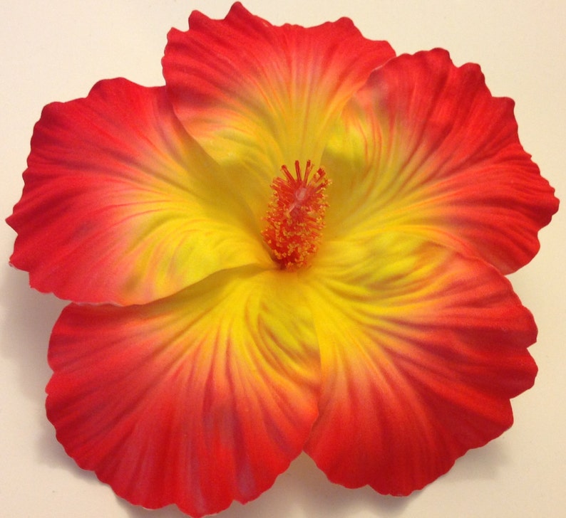 Hibiscus, Wedding, Orange Hibsicus, Flower, Flower, Orange, Yellow, pin up, Burlesque, Tropical flower, Wedding, READY TO SHIP image 2