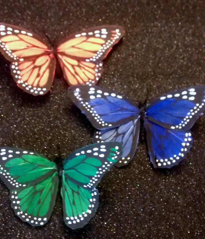 Butterfly,Mariposa, Butterfly clip, butterfly barrette, hair, hair clip, hair barrette, Mariposa clip,ready to ship image 2