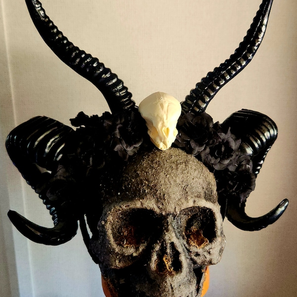 Vampire horns, werewolf skull, skull, skull horns, horn headband, gothic