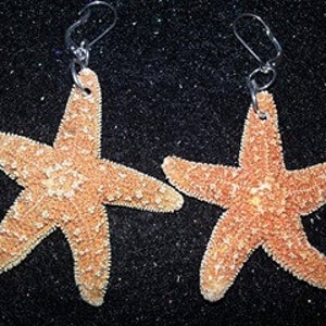 Starfish Earrings,Real Starfish, Starfish , Mermaid, Mermaid Earrings Mermaid , Nautical,ocean image 2