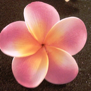 Pink Plumeria Hawaiian Hair Clip Pink Flower Pink Clip - Etsy