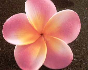 Pink plumeria, hawaiian hair clip, pink flower, pink clip, hawaiian hair flower, plumeria, pink flower clip