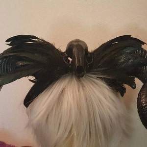 May include: Black, curved horns with a skull and feathers in the center. The horns are made of a textured material and have a glossy finish.