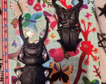 Bug, bug clips, bug barrettes