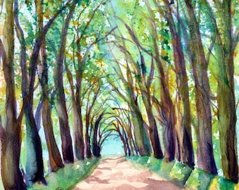Kauai Tree Tunnel Art Painting Prints de Marionette Taboniar de Kauai Hawaii