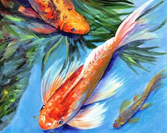 Ornamental Koi Fish in Outdoor Pond Art Print