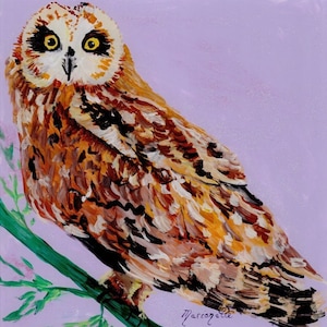 owl painting, owl print, Hawaiian pueo, pueo painting, square art print, Hawaiian owl, owl art prints, pueo art, birds of Hawaii