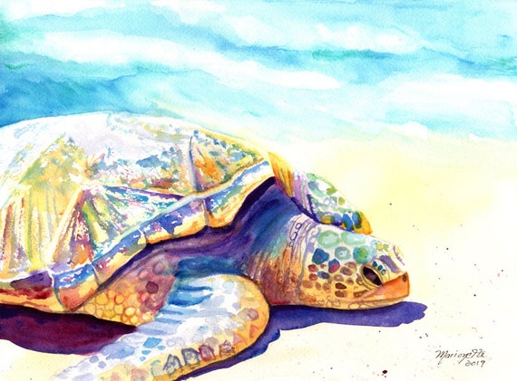 Turtle Painting, Sea Turtle Fine Art Print, Kauai Art, Turtles, Hawaiian Honu Paintings, Kids Wall Art, Ocean Sea Decor, Animal Prints