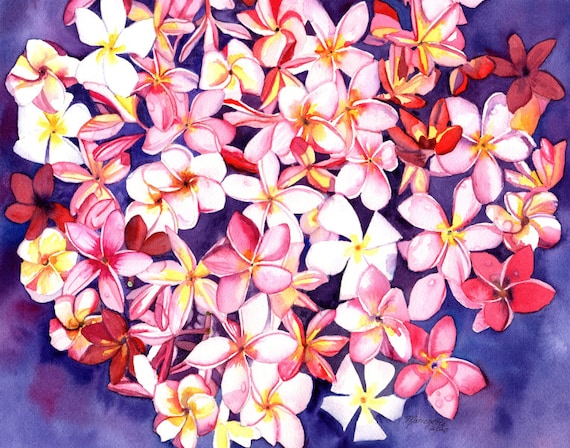 Plumeria Flowers Watercolor Art Print from Kauai Hawaii