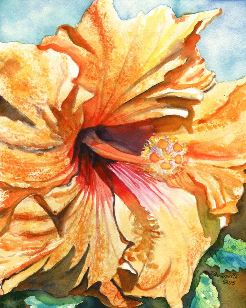 Puede incluir: Una pintura de acuarela de una gran flor de hibisco naranja con un centro rosa. La flor est&aacute; en foco, y el fondo est&aacute; desenfocado.