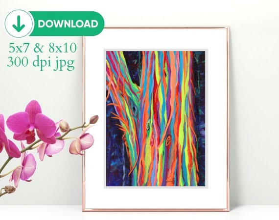 Rainbow Eucalyptus Tree, Digital Print jpg, Instant Download, Hawaiian, Tropical Tree, Hawaii Decor, 5x7 8x10, Kauai Oahu Maui