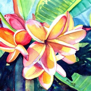 Impression d'art aquarelle plumeria arc-en-ciel d'Hawaï