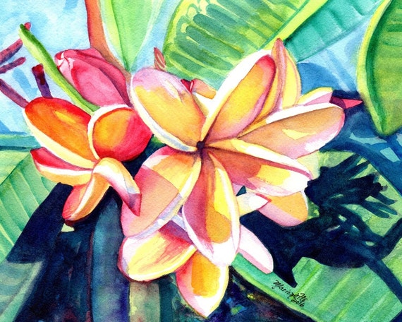 Rainbow plumeria watercolor art print from Hawaii