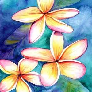 Plumeria print from Kauai Hawaii frangipani hawaii art kauaiartist Hawaiian art Kauai art tropical flowers