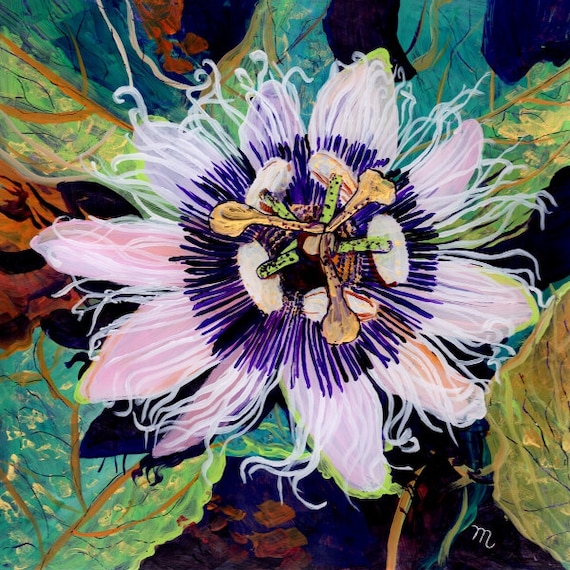 Lilikoi Passion Flower,  Passion Fruit Art, Passion fruit print, passiflora painting, lilikoi flower art, Kauai art, Aunty Lilikoi