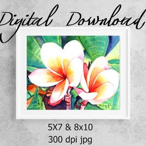 Plumeria Print Digital Download 8x10 5x7 jpg Watercolor Print Printable wall art Downloadable Hawaii Decor Frangipani Tropical Flower