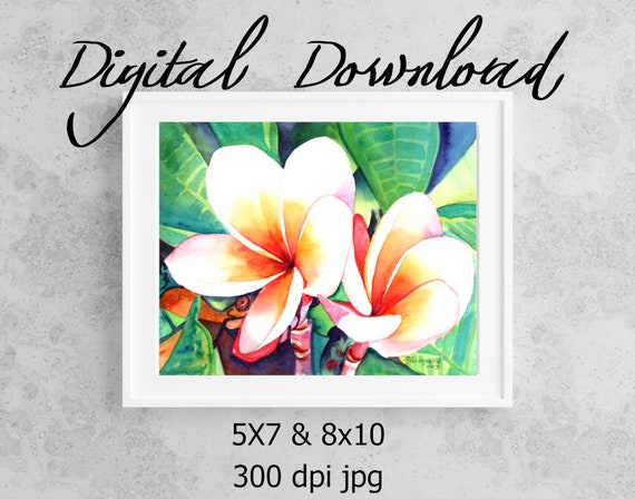 Plumeria Print Digital Download 8x10 5x7 jpg Watercolor Print Printable wall art Downloadable Hawaii Decor Frangipani Tropical Flower