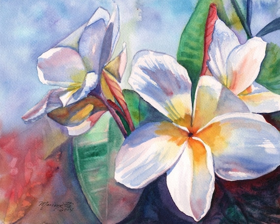 plumeria art print  frangipani art hawaiian lei hawaii paintings tropical flowers kauai artwork kauaiartist plumeria artwork