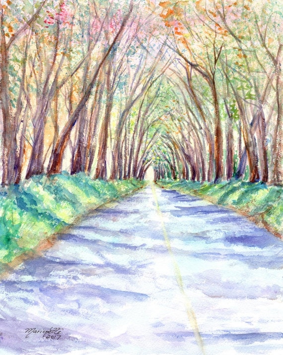 Kauai Art, Kauai Tree Tunnel, Kauai Painting, Hawaii Art, Hawaii Painting, KauaiArtist, Tree Painting, Hawaii Artist