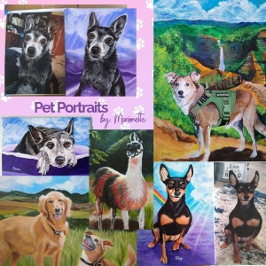 May include: A collection of colorful pet portraits, showcasing various dog breeds and a llama. The paintings feature detailed depictions of the animals, with vibrant backgrounds and personalized touches. The text "Pet Portraits by Marionette" is also visible.