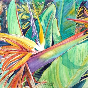 May include: Watercolor painting of a bird of paradise flower with vibrant orange, yellow, and red petals. The flower is surrounded by green leaves.
