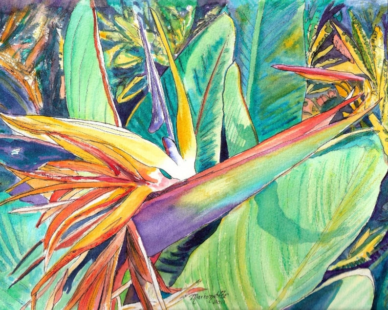 May include: Watercolor painting of a bird of paradise flower with vibrant orange, yellow, and red petals. The flower is surrounded by green leaves.