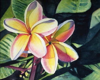 May include: Watercolor painting of two pink and yellow plumeria flowers with green leaves in the background. The flowers are in focus and the leaves are out of focus. The painting is signed "Marisolle 2007".