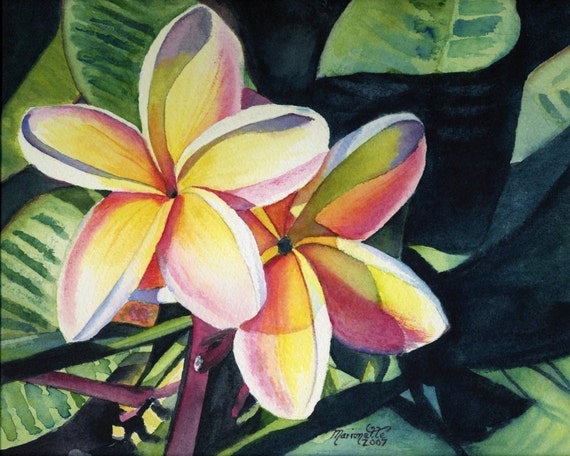 plumeria art,  tropical flowers, plumeria prints, hawaiian art, kauai paintings, hawaii print, frangipani, Hawaii artwork, kauai art