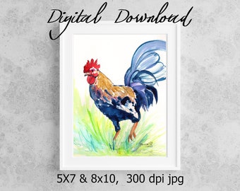 Rooster Print, Printable Wall Art, Downloadable Art, Poster Art, DIY Prints, Chicken Art,Kauai Rooster, Colorful Rooster, Print it from home